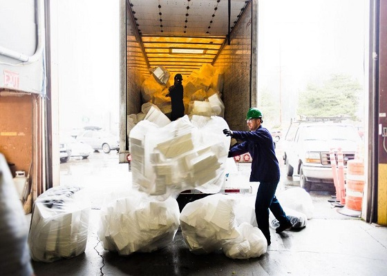 ¿Cómo aumentar la tasa de reciclaje de unicel en México y profesionalizar su recogida?